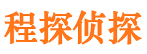 雁江市私家侦探